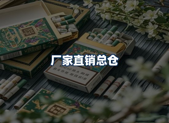专业团队办公环境